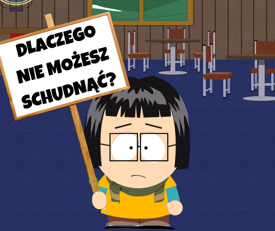 Read more about the article DLACZEGO NIE MOŻESZ SCHUDNĄĆ?